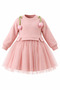 Girl's Tulip Detailed Tulle Dress Brown & Powder Pink 9-24 Months - 2