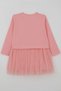 Girls' Long Sleeve Dress with Floral Print and Tulle, 2-6 Years, Pink - 6