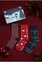 Men's 3-Piece Striped Boxed Yılabşı Socks Multi-Colored