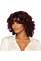 14 Inch Afro Bouncy Curls Human Hair Wig – | Natural Afro Human Hair Curls