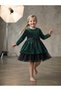 Girl's Glittery Tulle Detailed Green Evening Dress - 4