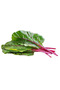 Satus Seeds Mangold Mantaray F1 (Red) – 250g - 2