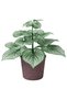 SMÅTÄRNA Artificial potted plant - paper/Brunnera 12 cm