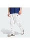 Z.N.E. PANT
