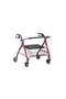 Walker with basket model agrt002