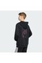 MARVEL SPIDER-MAN HOODED SWEAT - 5