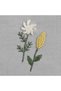 Farah bamboo flower embroidered hand towel, grey, 50x90 cm. - 4