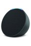 Echo Pop Negru - 2