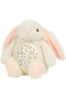 Accessory, Cream - 2