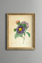 Chinese Star - Vintage Patterned Painting - Slim Model