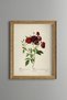 Red Rose Bouquet - Vintage Patterned Painting - Slim Model