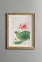 Lotus Flower - Vintage Patterned Painting - Slim Frame