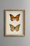 Two Orange Butterflies - Vintage Patterned Painting - Slim Model