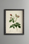 Pink Rose Hills - Vintage Patterned Painting - Slim Model