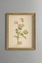 Pink Sardunya - Vintage Patterned Painting - Slim Model