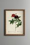 Dark Red Roses - Vintage Patterned Painting - Slim Frame
