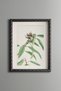 Bud Flower Branch - Vintage Patterned Painting - Slim Model