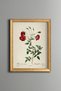 Red Rose Branches - Vintage Patterned Painting - Slim Frame
