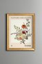 Colorful Flower Bouquet - Vintage Patterned Painting - Fine Model