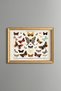 Butterflies and Moths - Vintage Patterned Painting - Slim Model