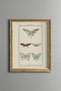 Butterflies - Vintage Patterned Painting - Slim Model