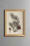 Pine Branch and Pine Cone - Vintage Patterned Painting - Slim Model