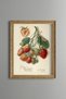 Strawberry Branch - Vintage Patterned Painting - Slim Model