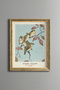 Birds in the Branch - Vintage Patterned Painting - Slim Model