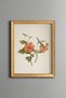Orange Lilies - Vintage Patterned Painting - Slim Frame