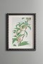 Floral Magnolia Branch - Vintage Patterned Painting - Slim Model