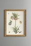 Puffball Flowers - Vintage Patterned Painting - Slim Model