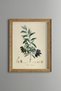 Olive Branch - Vintage Patterned Painting - Slim Model