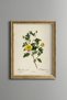 Yellow Flower Branches - Vintage Patterned Painting - Slim Model