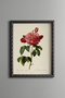 Dark Pink Rose - Vintage Patterned Painting - Slim Model