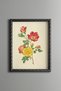 Wild Rose Branch - Vintage Patterned Painting - Slim Model