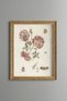 Pink Roses - Vintage Patterned Painting - Slim Frame