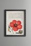 Poppy, Snail, and Fly - Vintage-Patterned Painting - Slim Design