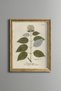 Ortanca Branch - Vintage Patterned Painting - Slim Model