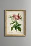 Pink Rose Branches - Vintage Patterned Painting - Slim Frame