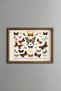 Butterflies and Moths - Vintage Patterned Painting - Slim Model