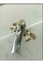 Luxury Stainless Steel Garlic Crusher, Durable Metal Garlic Press (15 cm - 5 cm) - 4