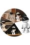 1080P WiFi Camera with Remote Control - 3