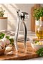 Luxury Stainless Steel Garlic Crusher, Durable Metal Garlic Press (15 cm - 5 cm) - 2