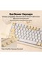 أغطية مفاتيح PBT بتصميم عباد الشمس، 133 مفتاحًا، بتصميم تشيري - 3