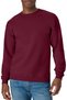 Men's EcoSmart Sweatshirt