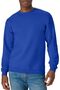 Men's EcoSmart Sweatshirt