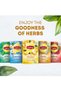 Herbal Infusion Tea Lemon And Ginger - 5