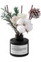 مجموعة ناشر العطر/عطر الأوسمانثوس والفواكه/120 مل/مع زهور محفوظة، زيت عطري للناشر