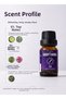 Sagittarius Essential Oil Blend, 10 ml - 2