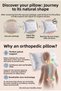 Orthopedic Pillow with Visco Technology and Memory Foam Padding (50 x 70 cm) - 3